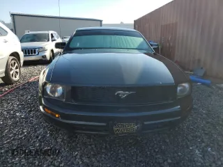 2007 Ford Mustang Deluxe with VIN 1ZVFT80N675333924, listed as a Copart auction lot 48516165 with 169,279 mi miles and Salvage Title. Bid and sale history available at carsss.com. Image 5.