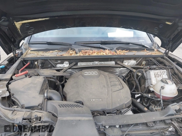 2018 Audi Q5 Premium Plus z VIN WA1BNAFY6J2100245, wystawiony jako IAAI lot #42295572 z przebiegiem 73 731 mil mil oraz . Historia ofert i sprzedaży dostępna na DreamBid. Obrazek 10.