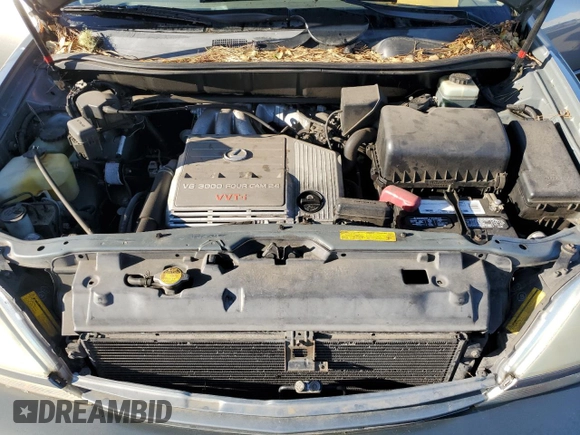 2003 Lexus RX 300 with VIN JTJGF10U330162566, listed as a Copart auction lot 85192144 with 187,769 mi miles and Salvage Title. Bid and sale history available at carsss.com. Image 12.