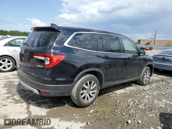 2021 Honda Pilot EX-L with VIN 5FNYF6H56MB088564, listed as a Copart auction lot 53860945 with 41,531 mi miles and Salvage title. Bid and sale history available at DreamBid. Image 3.