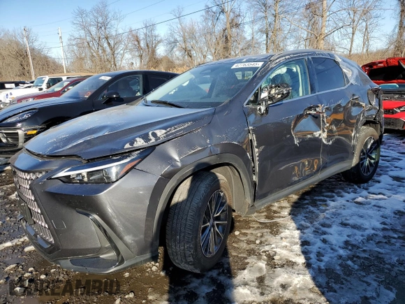 2024 Lexus NX with VIN 2T2AGCEZ4RC053310, listed as a Copart auction lot 42763545 with 10,328 mi miles and Salvage Title. Bid and sale history available at carsss.com. Image 1.