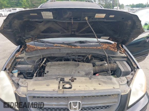 2004 Honda Pilot EX with VIN 5FNYF18574B008241, listed as a IAAI auction lot 42248581 with 267,334 mi miles and . Bid and sale history available at DreamBid. Image 10.