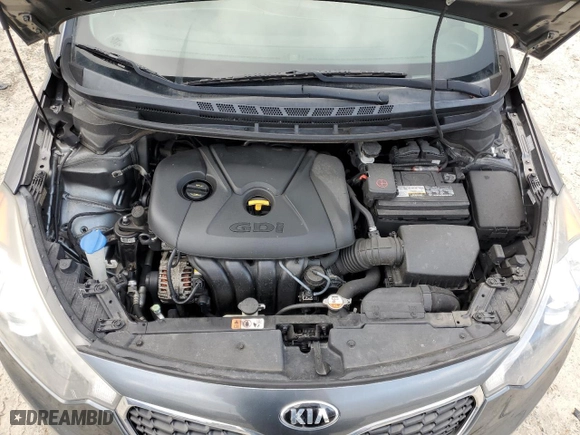 2016 Kia Forte EX with VIN KNAFX4A88G5490828, listed as a Copart auction lot 48004395 with 0 mi miles and Salvage Title. Bid and sale history available at carsss.com. Image 11.