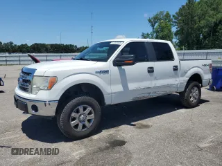 2013 Ford F-150 XL with VIN 1FTFW1EF6DFD37447, listed as a Copart auction lot 61262635 with 249,979 mi miles and Salvage title. Bid and sale history available at DreamBid. Image 1.
