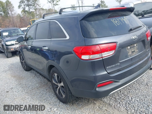 2017 Kia Sorento EX V6 with VIN 5XYPH4A54HG187743, listed as a IAAI auction lot 41490227 with 208,553 mi miles. Bid and sale history available at carsss.com. Image 3.