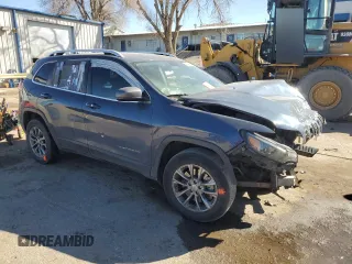 2019 Jeep Cherokee Latitude Plus with VIN 1C4PJMLB1KD477886, listed as a Copart auction lot 46489505 with 0 mi miles and Salvage Title. Bid and sale history available at carsss.com. Image 4.