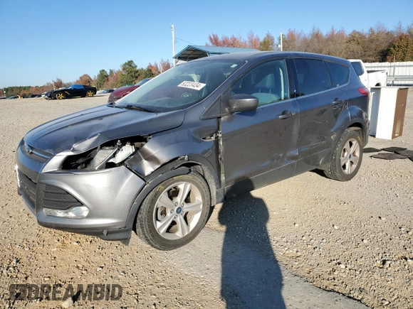 2013 Ford Escape SE with VIN 1FMCU0GX8DUB61503, listed as a Copart auction lot 83223434 with 209,396 mi miles and Salvage Title. Bid and sale history available at DreamBid. Image 1.