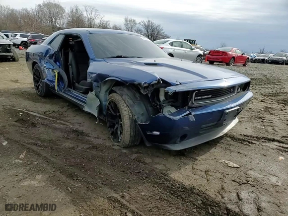 2009 Dodge Challenger R/T with VIN 2B3LJ54T59H594834, listed as a Copart auction lot 44238045 with 102,820 mi miles and Salvage Title. Bid and sale history available at carsss.com. Image 10.