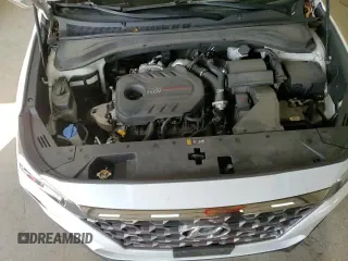 2020 Hyundai Santa Fe Limited with VIN 5NMS5CAA6LH181418, listed as a Copart auction lot 81714485 with 48,263 mi miles and Salvage title. Bid and sale history available at DreamBid. Image 14.