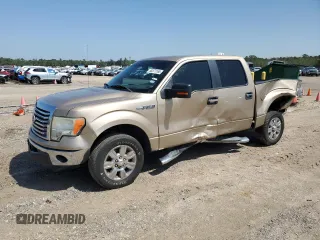 2011 Ford F-150 XL with VIN 1FTFW1CF6BKD10787, listed as a Copart auction lot 50371165 with 313,617 mi miles and Salvage title. Bid and sale history available at DreamBid. Image 1.