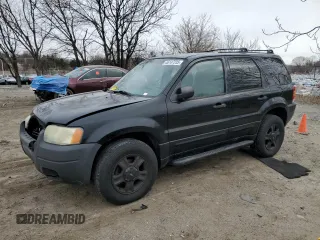 2004 Ford Escape XLT z VIN 1FMCU93164DA18796, wystawiony jako Copart lot #52698785 z przebiegiem 208 287 mil mil oraz Nie do naprawy • Non repairable. Historia ofert i sprzedaży dostępna na DreamBid. Obrazek 1.