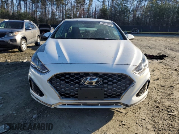 2019 Hyundai Sonata SEL with VIN 5NPE34AFXKH740443, listed as a Copart auction lot 49321825 with 52,162 mi miles and Salvage Title. Bid and sale history available at DreamBid. Image 5.
