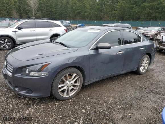 2013 Nissan Maxima 3.5 SV w/Premium Pkg with VIN 1N4AA5AP2DC831357, listed as a Copart auction lot 45851435 with 206,938 mi miles and Clean Title. Bid and sale history available at carsss.com. Image 1.