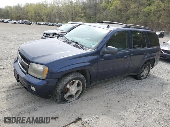 2009 Chevrolet TrailBlazer LT w/2LT with VIN 1GNDT33S692100684, listed as a Copart auction lot 54675105 with 177,098 mi miles and Clean Title. Bid and sale history available at carsss.com. Image 1.