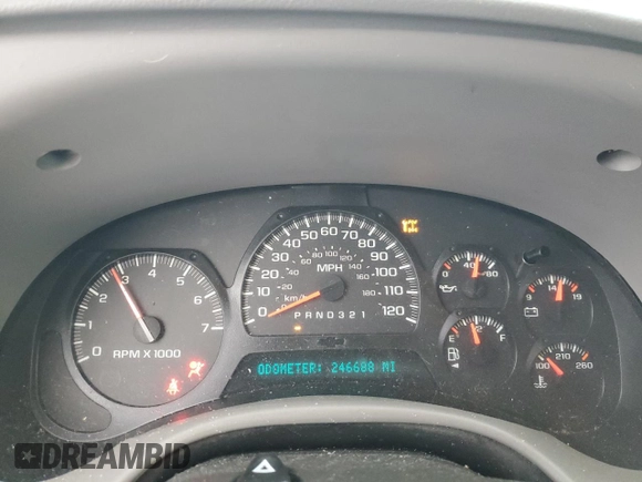 2008 Chevrolet TrailBlazer 1LT with VIN 1GNDT13S882194151, listed as a Copart auction lot 83656944 with 246,688 mi miles and Clean Title. Bid and sale history available at DreamBid. Image 9.