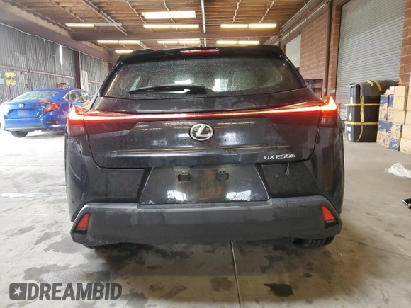 2024 Lexus UX with VIN JTHX6JBH5R2171624, listed as a Copart auction lot 48083695 with 4,231 mi miles and Salvage Title. Bid and sale history available at carsss.com. Image 6.