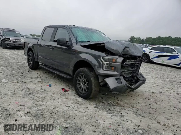 2017 Ford F-150 XL with VIN 1FTEW1CP6HFC55621, listed as a Copart auction lot 61406755 with 168,022 mi miles and Salvage title. Bid and sale history available at DreamBid. Image 13.