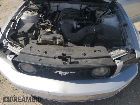 2007 Ford Mustang GT Deluxe with VIN 1ZVHT82H375255005, listed as a Copart auction lot 64924925 with 128,134 mi miles and Clean title. Bid and sale history available at DreamBid. Image 11.