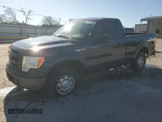 2013 Ford F-150 XL with VIN 1FTMF1CM9DKD34252, listed as a Copart auction lot 49175385 with 215,746 mi miles and Salvage Title. Bid and sale history available at carsss.com. Image 1.