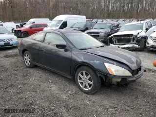 2003 Honda Accord Cpe EX with VIN 1HGCM82683A032759, listed as a Copart auction lot 50019325 with 0 mi miles and Salvage Title. Bid and sale history available at carsss.com. Image 4.
