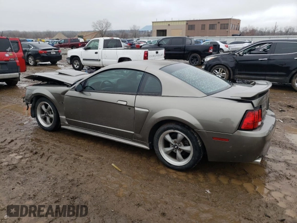 2002 Ford Mustang GT Deluxe with VIN 1FAFP42X02F203595, listed as a Copart auction lot 40194624 with 0 mi miles and Salvage Title. Bid and sale history available at carsss.com. Image 2.