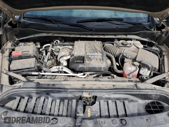 2022 Chevrolet Silverado 1500 Custom Trail Boss with VIN 3GCUDCET4NG579555, listed as a Copart auction lot 51195454 with Not Provided miles and Salvage Title. Bid and sale history available at DreamBid. Image 12.