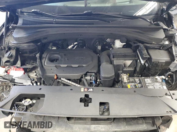 2020 Hyundai Santa Fe Limited with VIN 5NMS5CAD1LH295126, listed as a Copart auction lot 47003355 with 0 mi miles and Salvage Title. Bid and sale history available at carsss.com. Image 12.