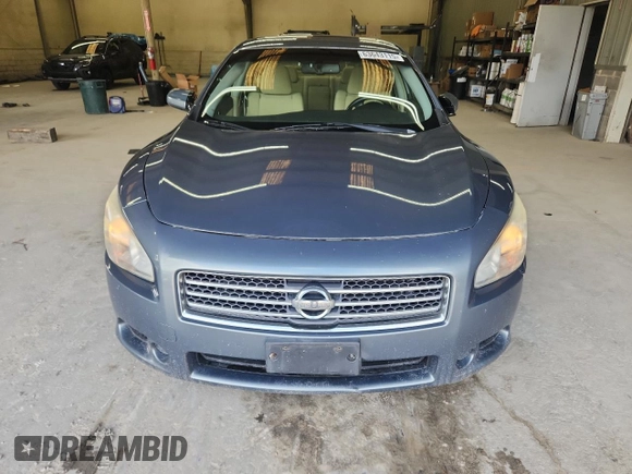 2010 Nissan Maxima SV with VIN 1N4AA5AP5AC821319, listed as a Copart auction lot 63643115 with 221,059 mi miles and Clean title. Bid and sale history available at DreamBid. Image 5.