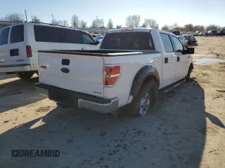 2014 Ford F-150 XL with VIN 1FTFW1CF4EKE02646, listed as a Copart auction lot 47215184 with Not Provided miles and Non Repairable. Bid and sale history available at DreamBid. Image 3.