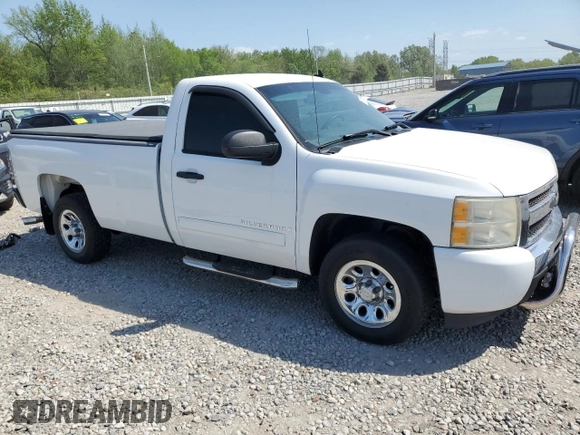 2009 Chevrolet Silverado 1500 with VIN 1GCEC24089Z124609, listed as a Copart auction lot 53163365 with 135,021 mi miles and Clean Title. Bid and sale history available at DreamBid. Image 4.