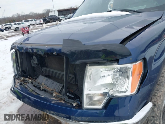 2011 Ford F-150 XL with VIN 1FTFX1ET6BFC39423, listed as a IAAI auction lot 41300035 with 1 mi miles. Bid and sale history available at carsss.com. Image 6.