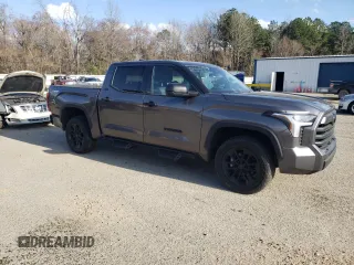 2023 Toyota Tundra SR5 with VIN 5TFLA5DB6PX105842, listed as a Copart auction lot 44166955 with 20,555 mi miles and Salvage title. Bid and sale history available at DreamBid. Image 4.