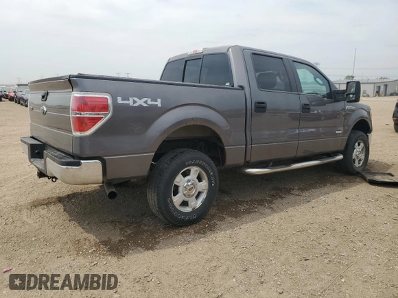 2013 Ford F-150 XL with VIN 1FTFW1ET1DKF57964, listed as a Copart auction lot 58801885 with 176,584 mi miles and Salvage title. Bid and sale history available at DreamBid. Image 3.