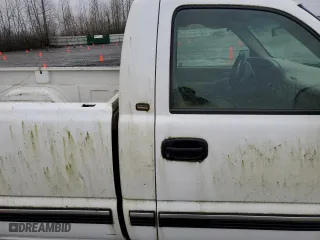 2002 Chevrolet Silverado 1500 LS with VIN 1GCEC14V12Z305031, listed as a Copart auction lot 46584315 with 289,903 mi miles and Clean Title. Bid and sale history available at carsss.com. Image 10.