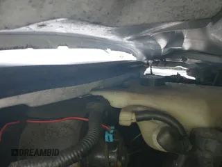 2017 Chevrolet Express Passenger LS с VIN 1GAZGNFG5H1114319, выставлен на аукционе IAAI как лот 42445377 с пробегом 202 127 миль миль и . История ставок и продаж доступна на DreamBid. Изображение 19.