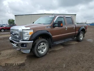 2011 Ford F-250 XL with VIN 1FT7W2B69BEC99908, listed as a Copart auction lot 61919585 with 410,259 mi miles and Salvage title. Bid and sale history available at DreamBid. Image 1.