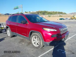 2017 Jeep Cherokee Sport with VIN 1C4PJLAB9HW502799, listed as a IAAI auction lot 41699922 with 132,076 mi miles. Bid and sale history available at carsss.com. Image 1.