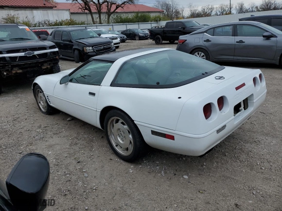 1995 Chevrolet Corvette with VIN 1G1YY22P4S5108301, listed as a Copart auction lot 81991074 with 82,271 mi miles and Clean Title. Bid and sale history available at carsss.com. Image 2.