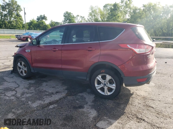 2013 Ford Escape SE with VIN 1FMCU0GX1DUB90907, listed as a Copart auction lot 57789785 with 113,525 mi miles and Salvage title. Bid and sale history available at DreamBid. Image 2.