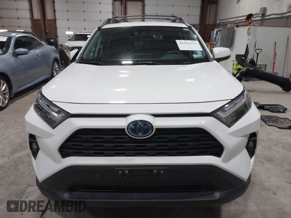 2023 Toyota RAV4 Hybrid XLE with VIN 2T3UWRFV1PW156948, listed as a IAAI auction lot 41556334 with 21,196 mi miles. Bid and sale history available at carsss.com. Image 13.