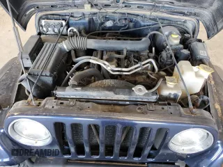 2002 Jeep Wrangler Sport with VIN 1J4FA49S82P713459, listed as a Copart auction lot 52745955 with 173,297 mi miles and Salvage Title. Bid and sale history available at carsss.com. Image 11.