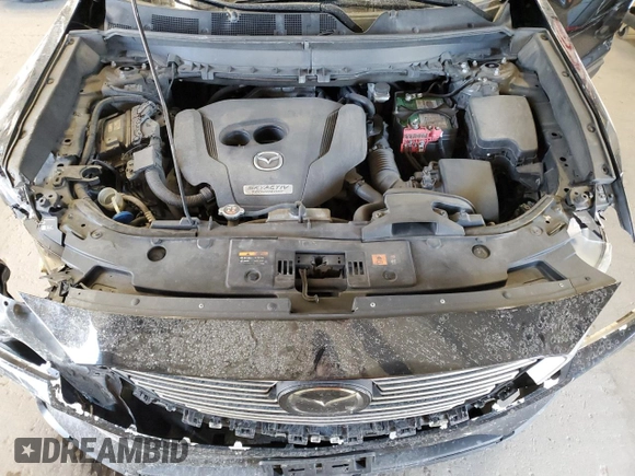 2018 Mazda CX-9 Touring with VIN JM3TCBCYXJ0231935, listed as a Copart auction lot 56202025 with 176,008 mi miles and Salvage title. Bid and sale history available at DreamBid. Image 12.