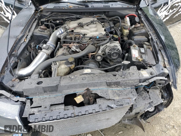 1999 Ford Mustang with VIN 1FAFP4040XF146055, listed as a Copart auction lot 55977035 with Not provided miles and Salvage title. Bid and sale history available at DreamBid. Image 11.