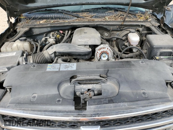 2007 Chevrolet Silverado 1500 LS with VIN 2GCEC13V371142366, listed as a Copart auction lot 53657445 with 171,321 mi miles and Salvage Title. Bid and sale history available at DreamBid. Image 11.