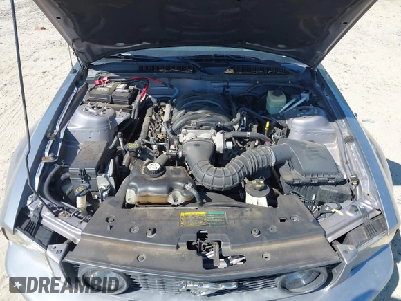 2006 Ford Mustang GT Deluxe with VIN 1ZVFT82H265198298, listed as a IAAI auction lot 42845581 with 198,600 mi miles and . Bid and sale history available at DreamBid. Image 10.