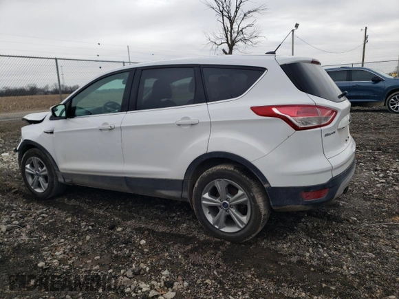 2014 Ford Escape SE with VIN 1FMCU9GX0EUB43986, listed as a Copart auction lot 47384795 with 46,573 mi miles and Clean Title. Bid and sale history available at carsss.com. Image 2.
