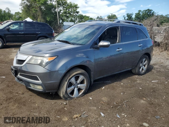 2010 Acura MDX Technology with VIN 2HNYD2H44AH524513, listed as a Copart auction lot 49031465 with Not Provided miles and Non Repairable. Bid and sale history available at DreamBid. Image 1.