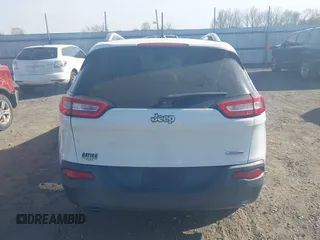 2014 Jeep Cherokee Latitude with VIN 1C4PJLCB1EW226188, listed as a IAAI auction lot 41869119 with 54,478 mi miles. Bid and sale history available at carsss.com. Image 16.