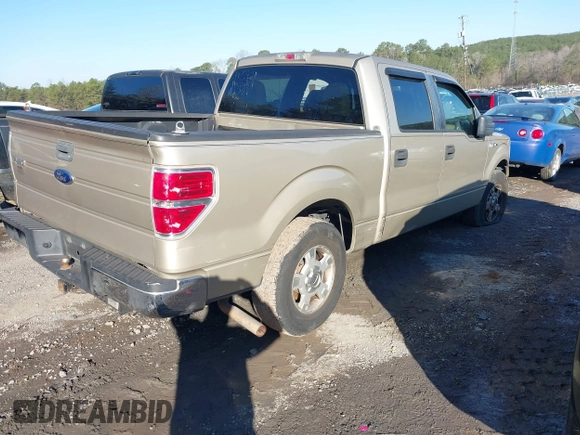 2010 Ford F-150 XL with VIN 1FTEW1C88AFA10043, listed as a IAAI auction lot 41764767 with 222,301 mi miles. Bid and sale history available at carsss.com. Image 4.