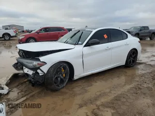 2019 Alfa Romeo Giulia Ti Sport with VIN ZARFAMBN2K7606486, listed as a Copart auction lot 80252384 with 44,413 mi miles and Salvage Title. Bid and sale history available at carsss.com. Image 1.